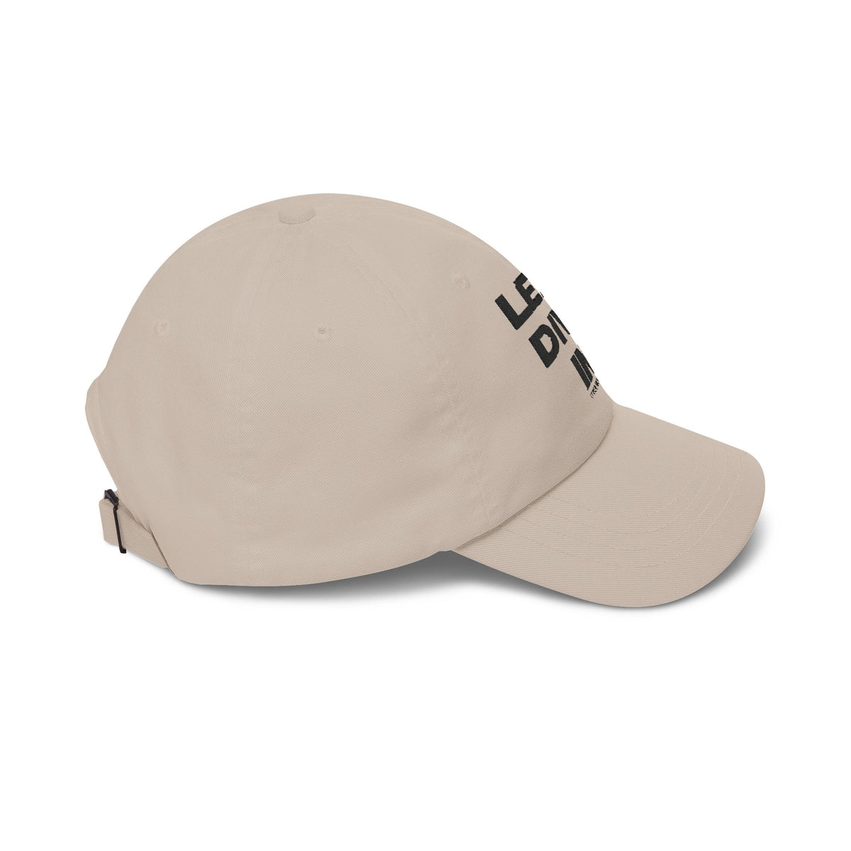 "Let's Dive In" Embroidered Hat Stone by Tyler Neale Shop