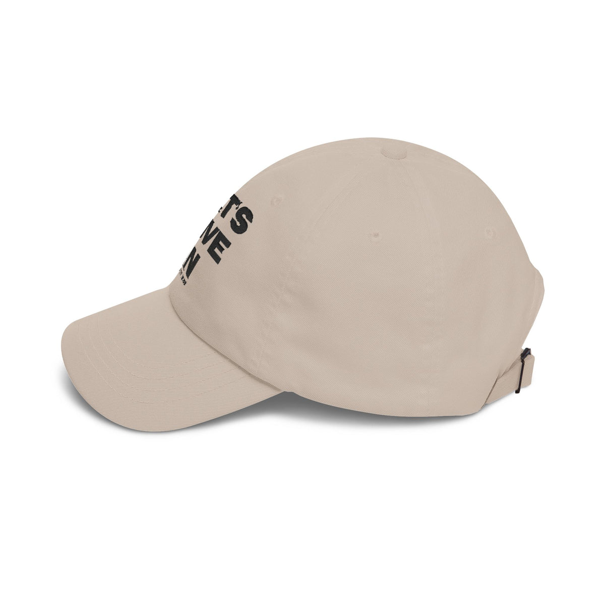 "Let's Dive In" Embroidered Hat Stone by Tyler Neale Shop